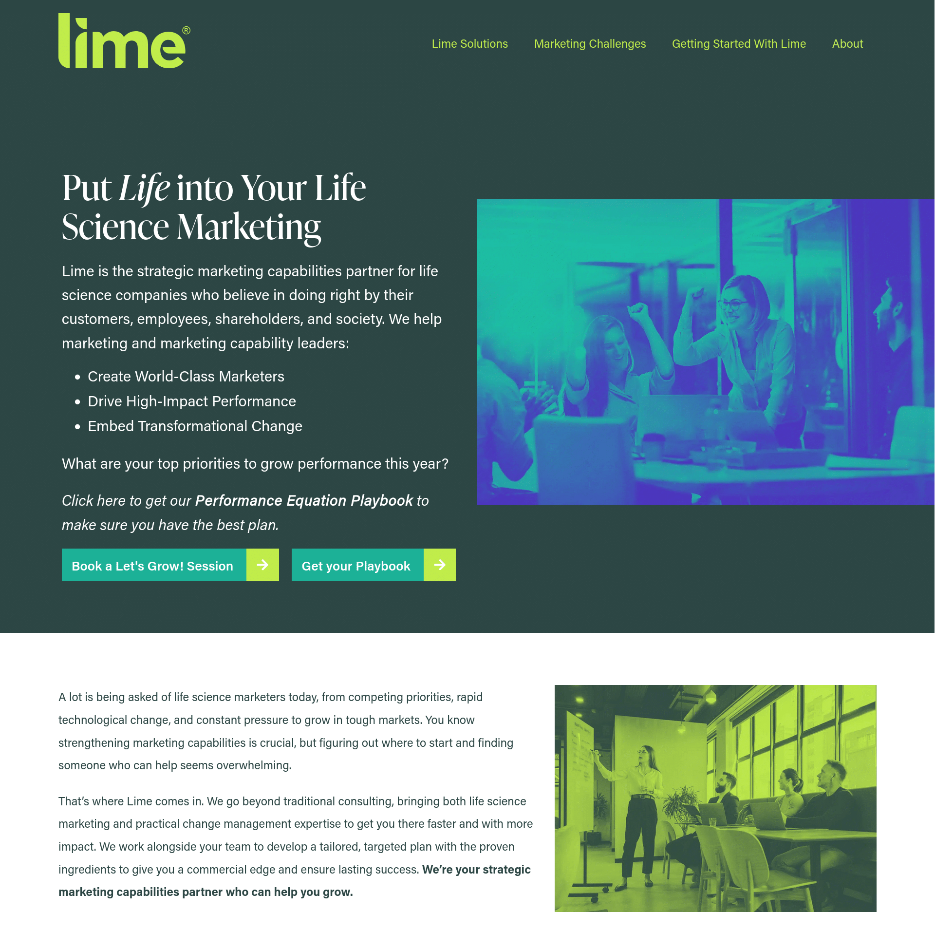 Lime Life Science Marketing website